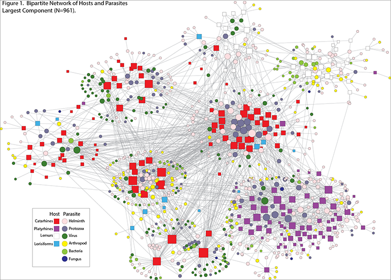 A digital representation of bipartite network of hosts and parasites