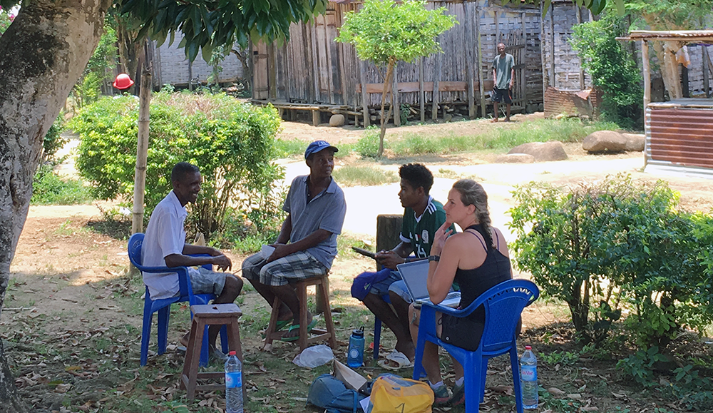 A survey team under a mango tree conducting research.